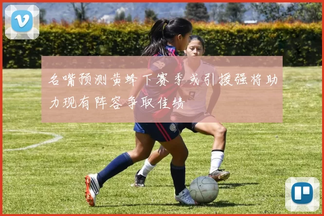 名嘴预测黄蜂下赛季或引援强将助力现有阵容争取佳绩