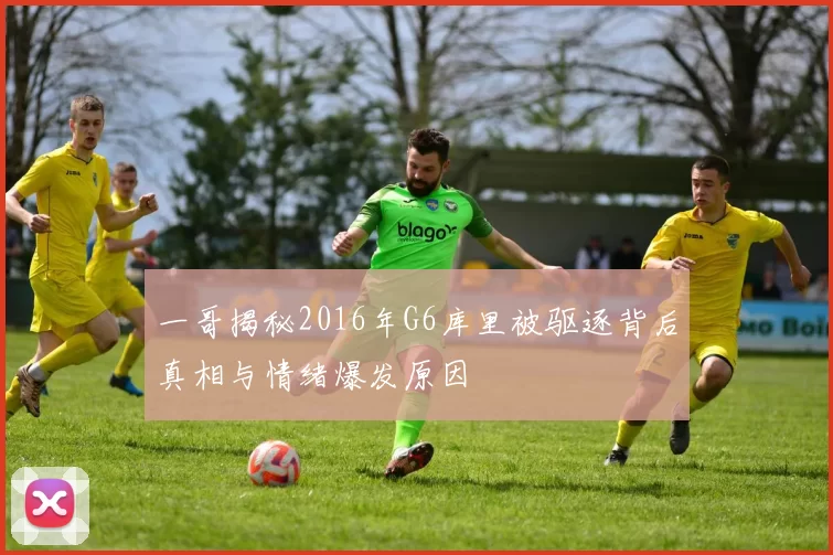 一哥揭秘2016年G6库里被驱逐背后真相与情绪爆发原因